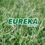 Eureka Kikuyu Logo