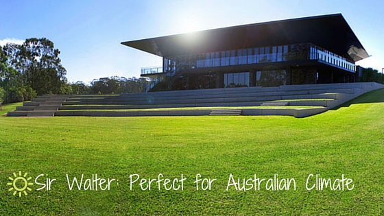 Sir Walter_ Perfect for Australian Climate