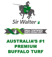 Sir Walter Buffalo Turf - J & B Buffalo Turf Supplies