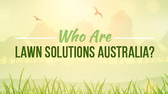 Who are Lawn Solutions Australia?