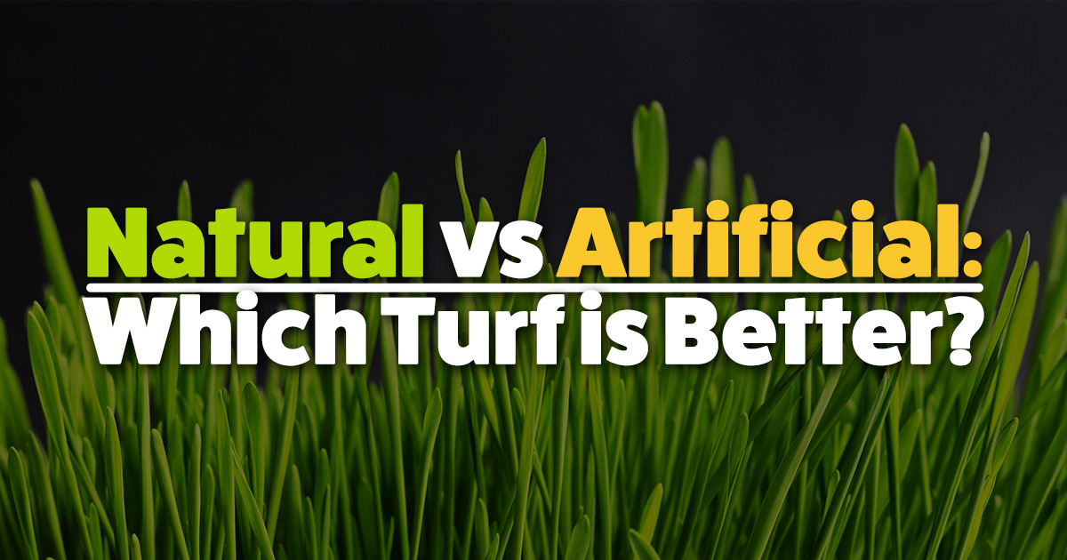 Natural vs Artificial: which turf is better?