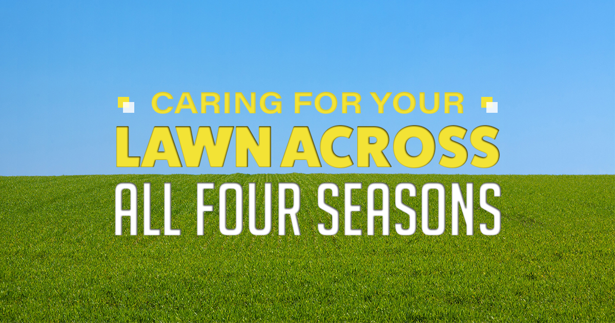 Caring for your lawn across all four seasons