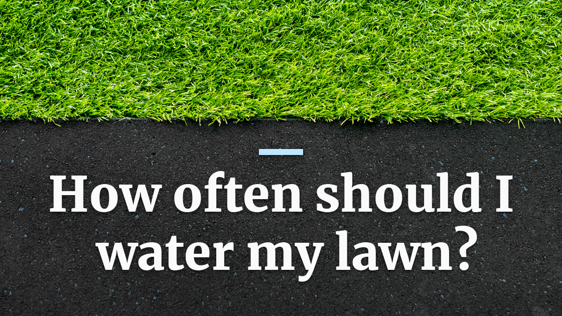 How often should i water my lawn