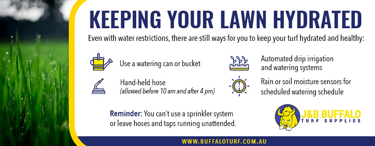 Keeping your lawn hydrated infographic