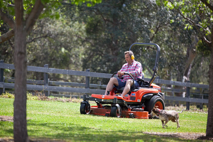 How often should you mow?