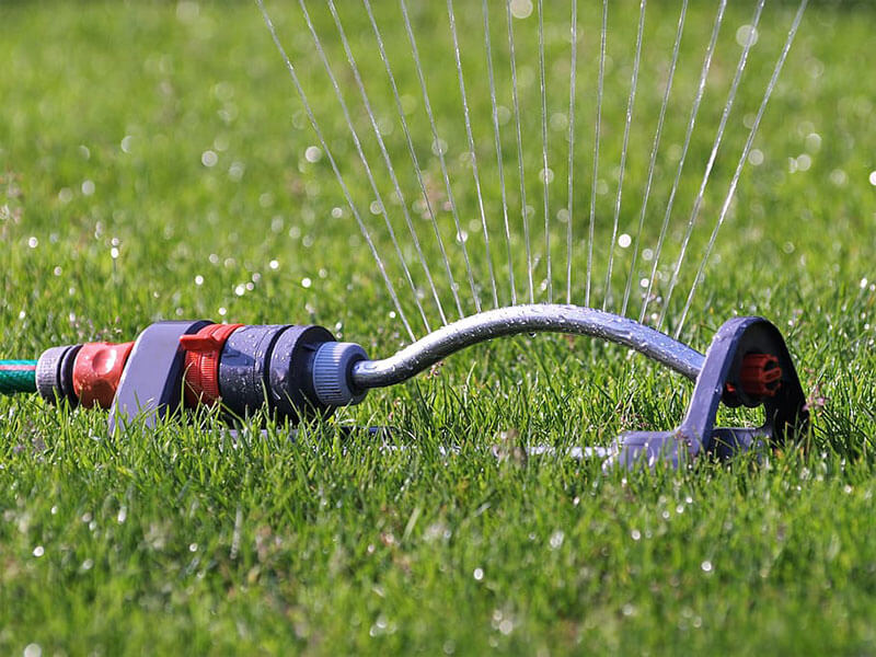 Once established, your lawn will still need to be watered. 