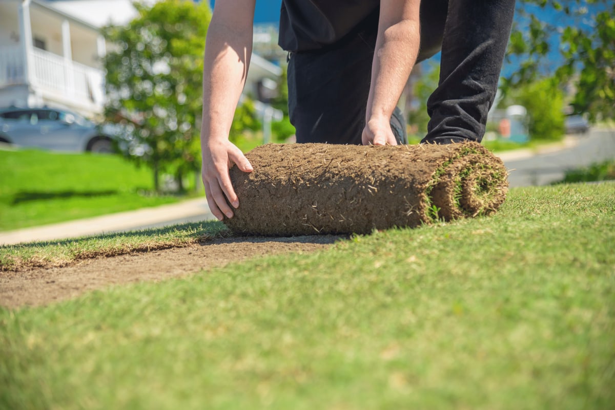 Laying turf